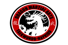 Logo for Dragon Martial Arts Logo for Dragon Martial Arts